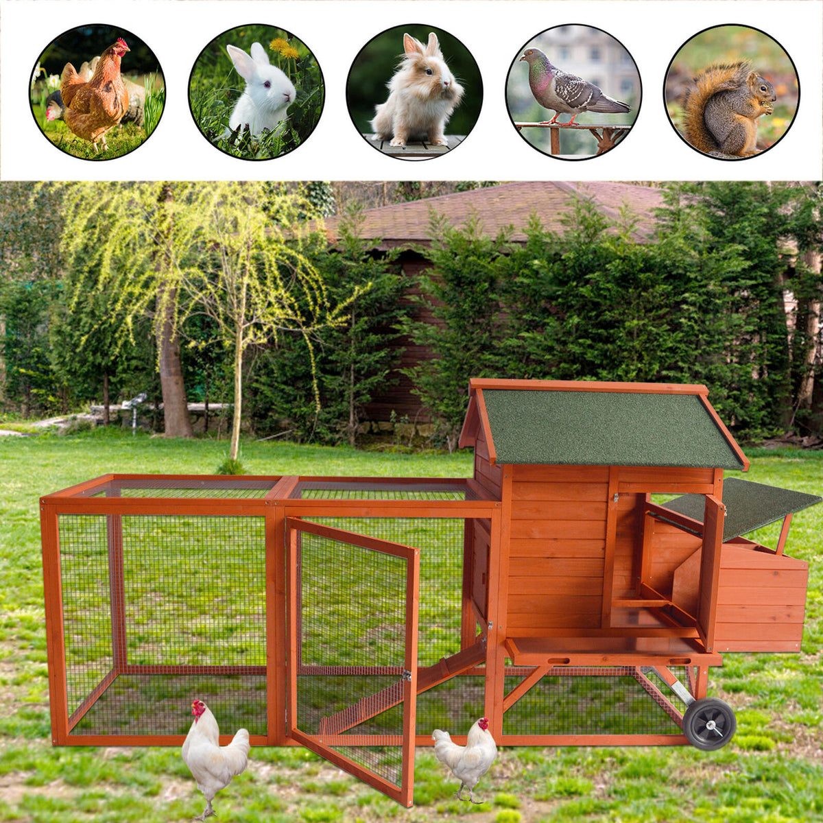 248 cm XL Chicken Coop Rabbit Hutch Ferret Hen Guinea Pig House | With Wheels