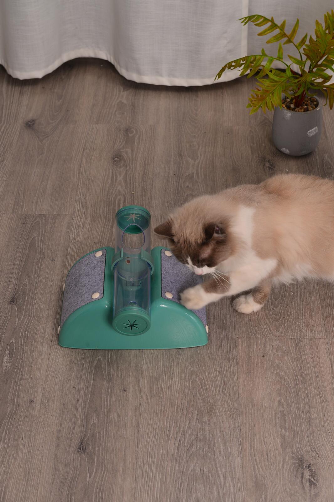 Cat Play Box Kit | Interactive Ball Peek Hunting Toy | Pet Kitten Toys - Green