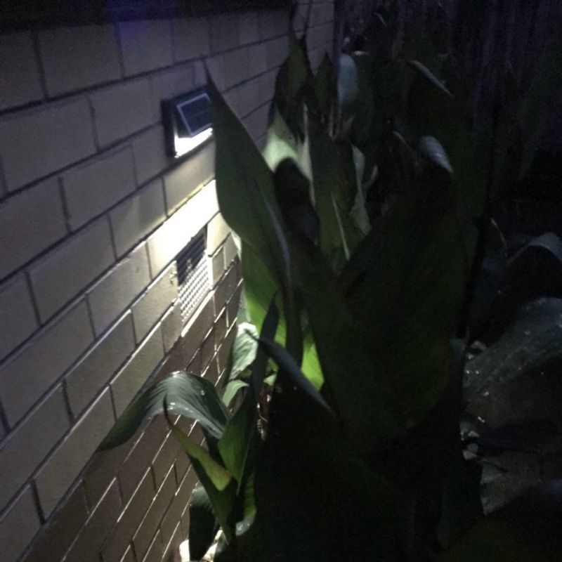 Solar Step Lights | Outdoor Solar-Powered Lights