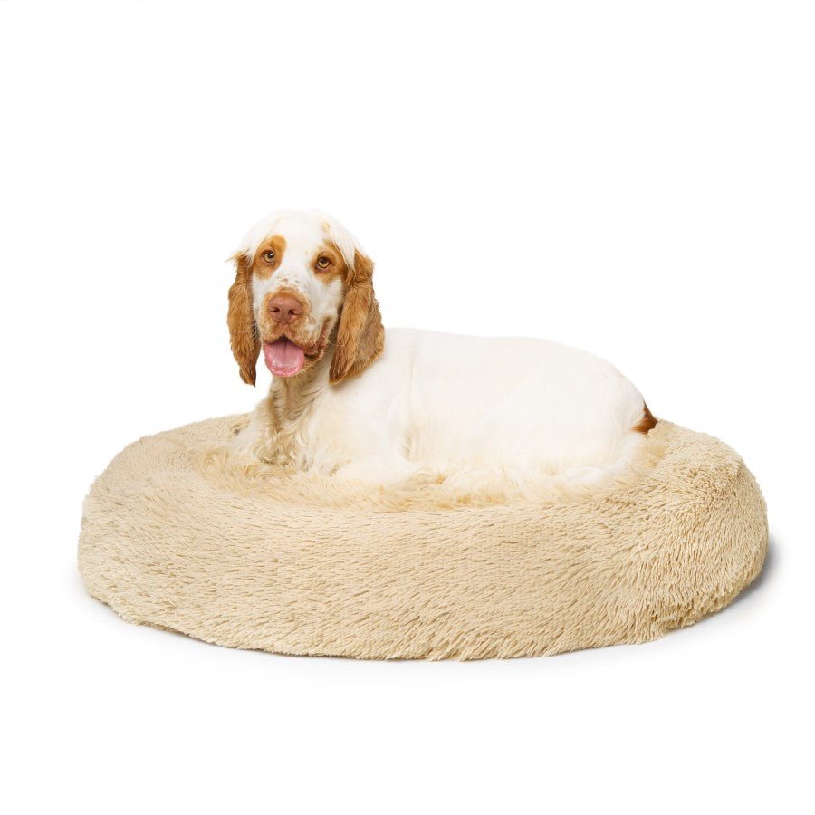 "Nap Time" Calming Dog Bed - Medium - Brindle