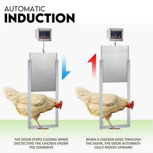 Chicken Coop Door | Digital LCD Timer & Sensor