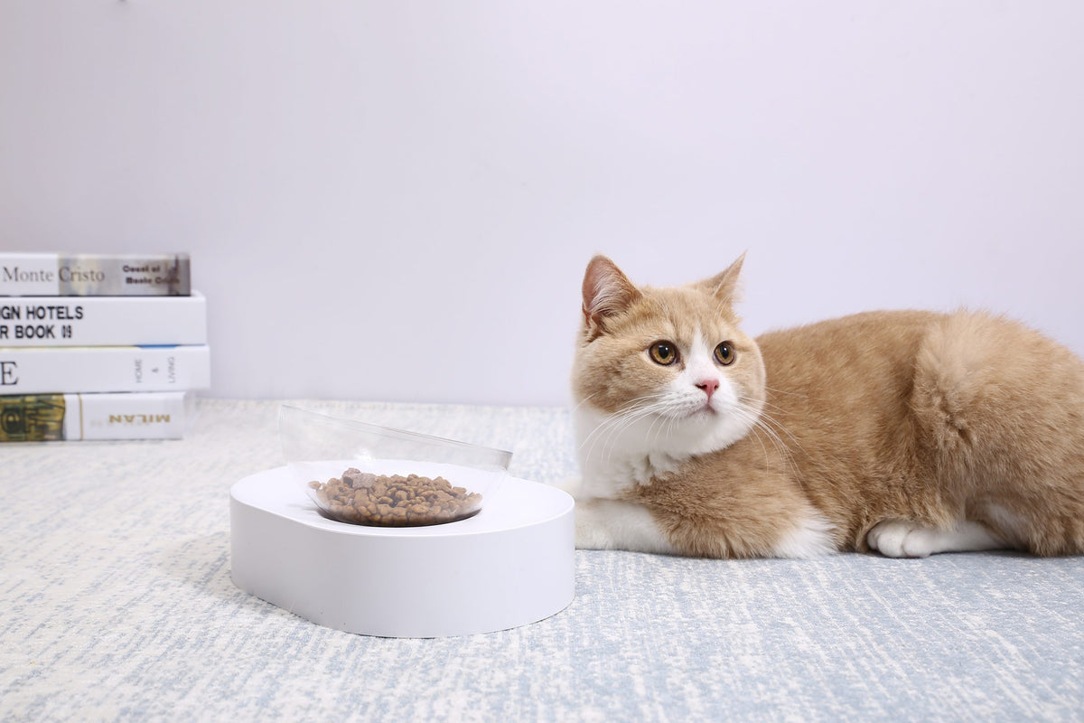 Fresh Nano-15 Adjustable Cat Feeding Bowl - Single