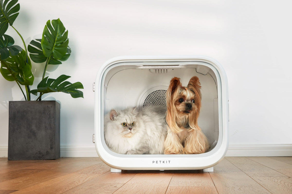 AIRSALON Smart Pet Dryer Box