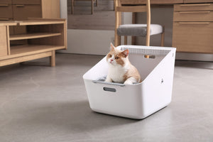 Pura Cat Litter Box