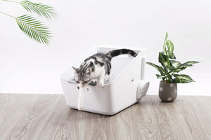 Pura Cat Litter Box