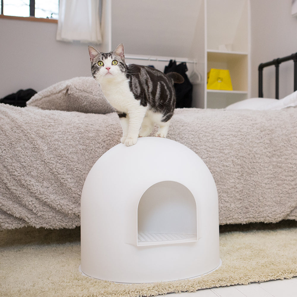 PIDAN Igloo Cat Litter Box | White