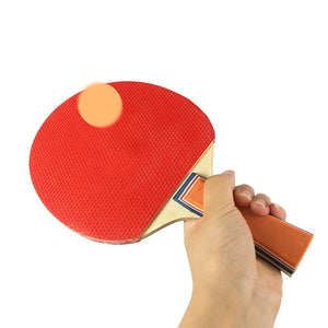 Table Tennis Game Indoor Portable Travel Ping Pong Ball Set Extendable
